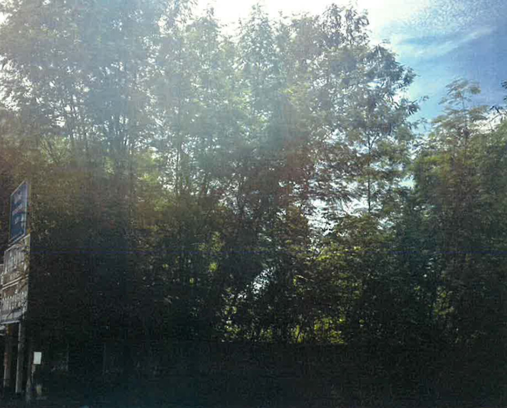 ที่ดินเปล่า ปทุมธานี สามโคก เชียงรากใหญ่ 1057500