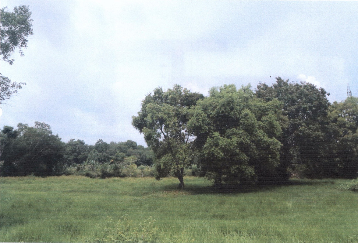 ที่ดินเปล่า ยะลา รามัน บาโงย 51600