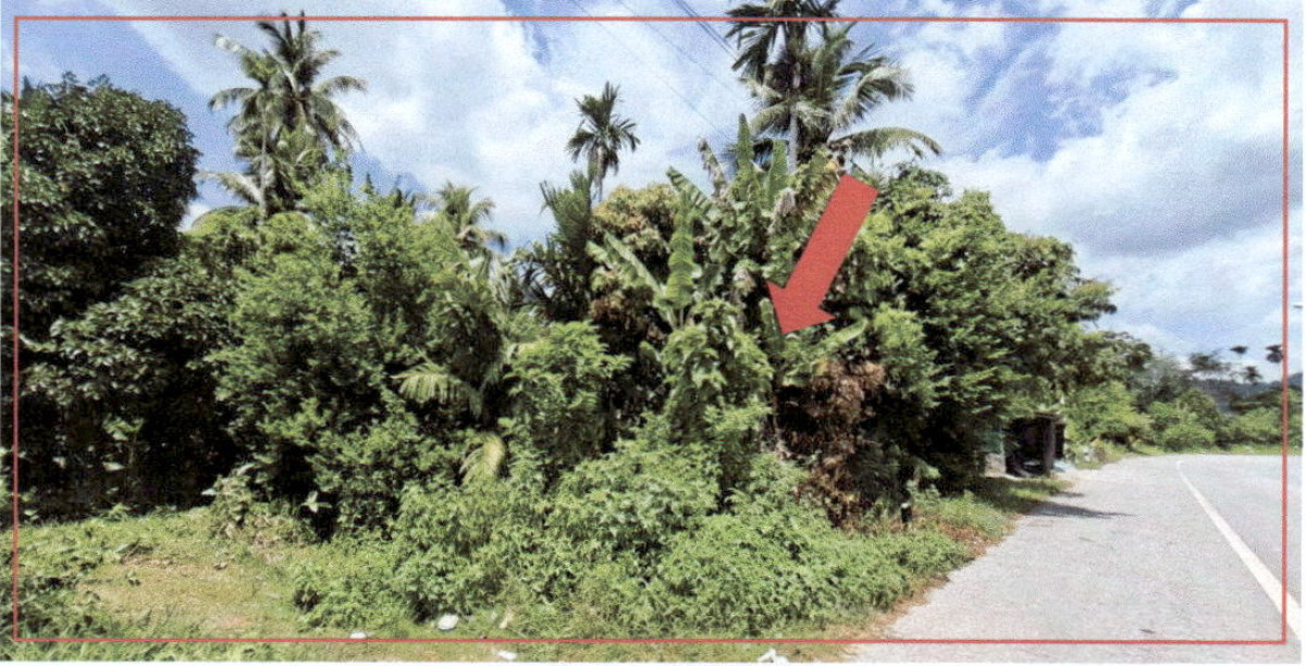 ที่ดินเปล่า ยะลา เมืองยะลา ท่าสาป 550800