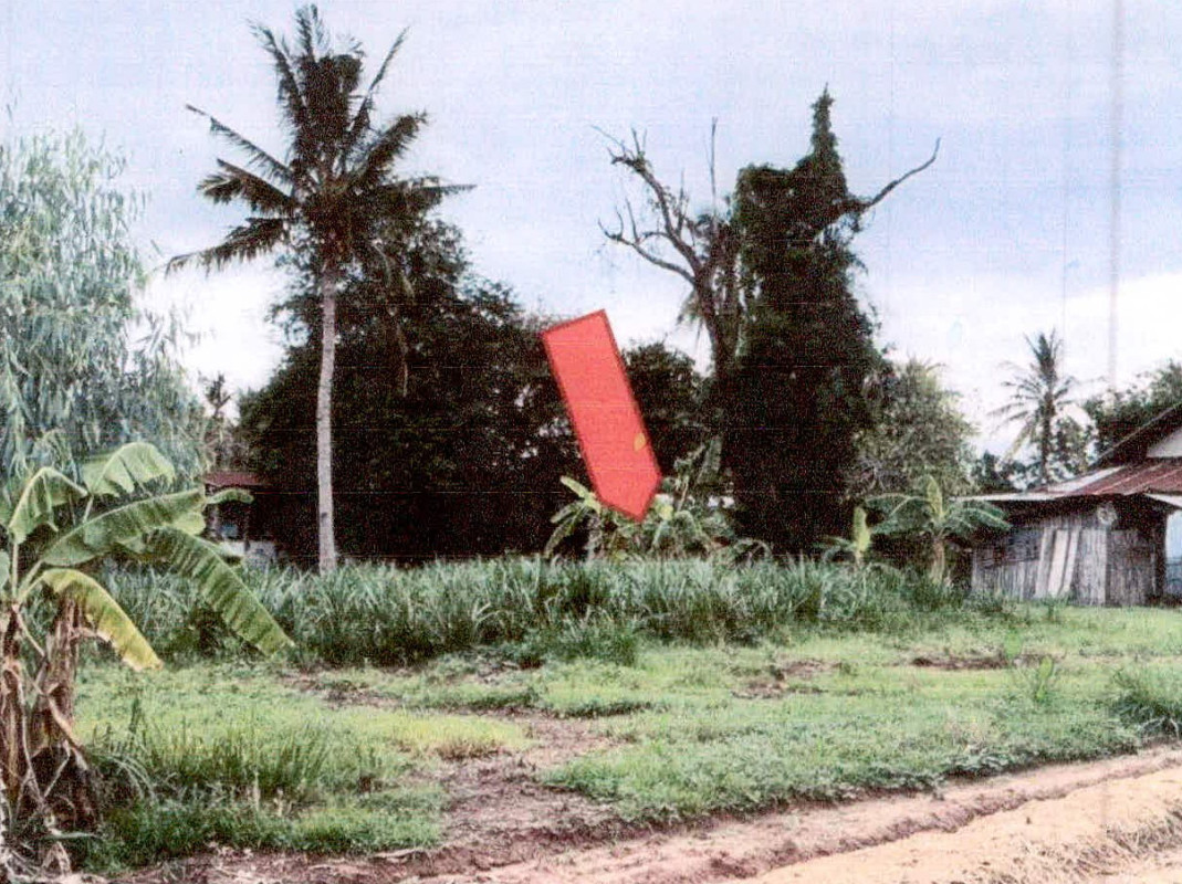 ที่ดินเปล่า ศรีสะเกษ ราษีไศล ส้มป่อย 31200