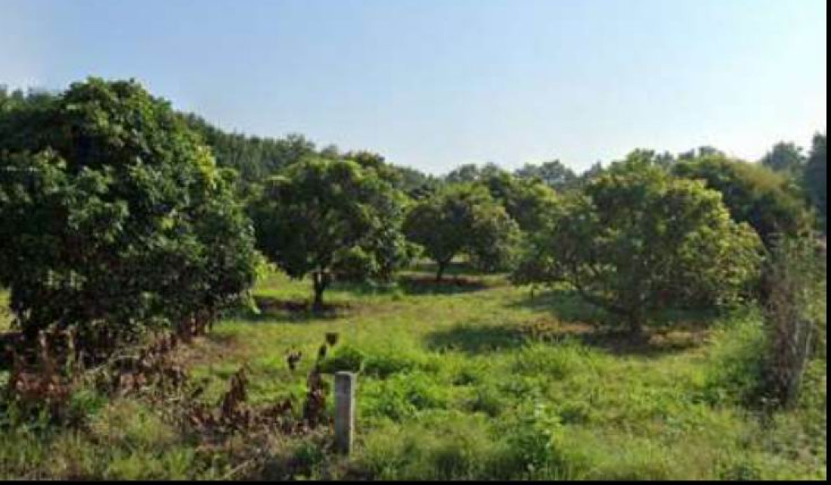 Residential land/lot Chiang Rai Phan San Makhet 314028