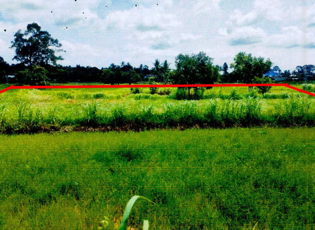 ที่ดินเปล่า ศรีสะเกษ ราษีไศล หนองอึ่ง 197820