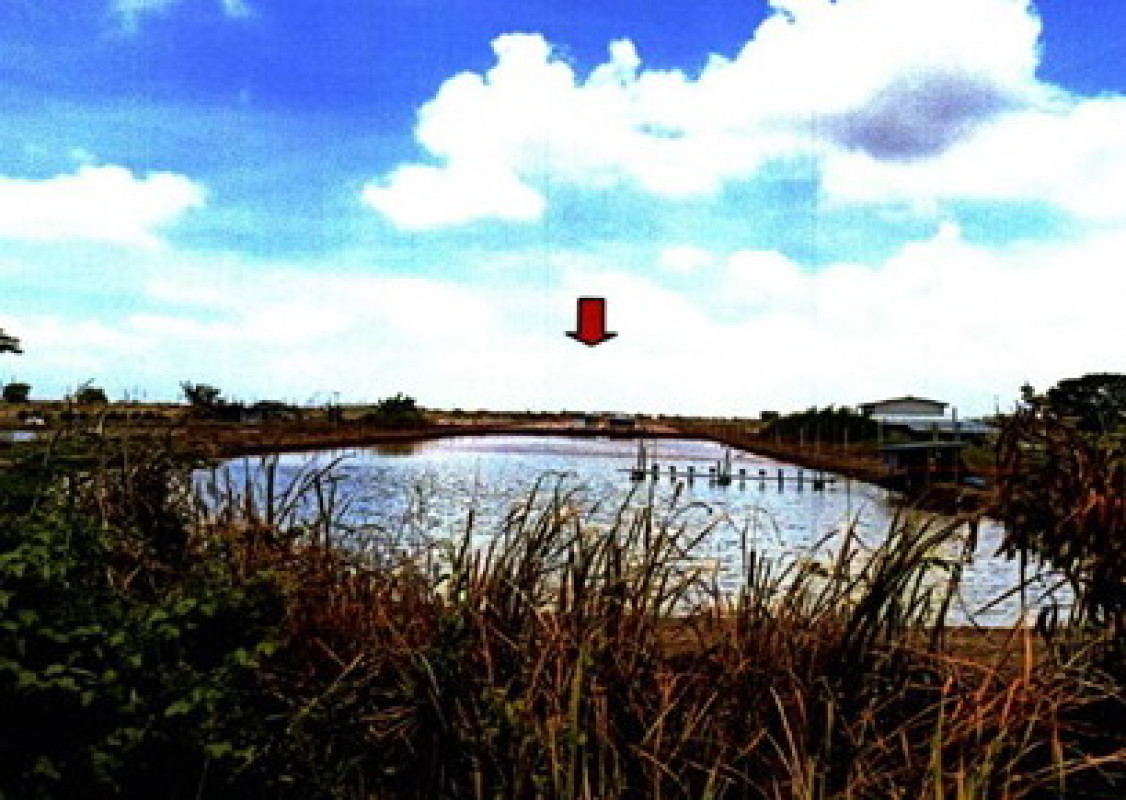 ที่ดินเปล่า สมุทรปราการ บางบ่อ บ้านระกาศ 10010000