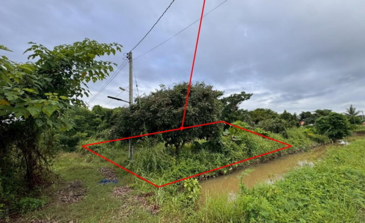 ที่ดินเปล่า พะเยา เชียงคำ หย่วน 364700