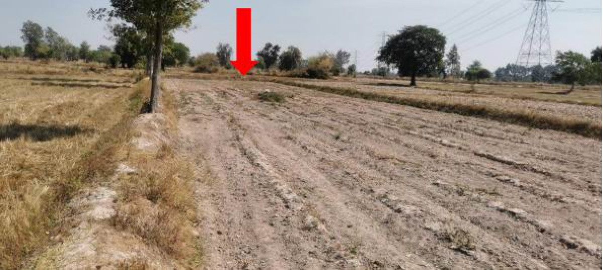 ที่ดินเปล่า ร้อยเอ็ด เมืองร้อยเอ็ด สะอาดสมบูรณ์ 131750