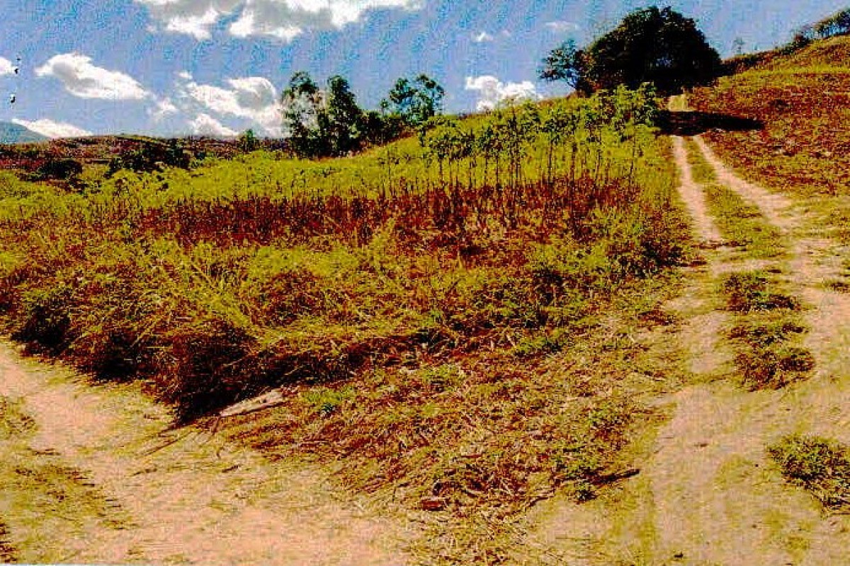 ที่ดินเปล่า เลย ภูเรือ ท่าศาลา 1228100
