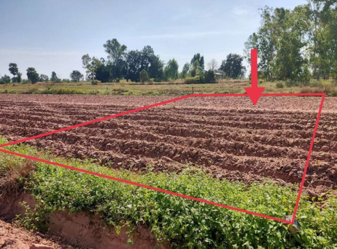 ที่ดินเปล่า นครราชสีมา ขามทะเลสอ บึงอ้อ 32000