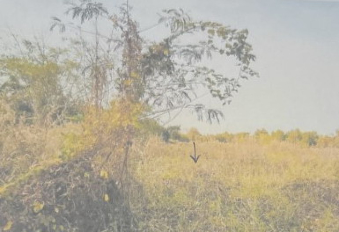 ที่ดินเปล่า อุดรธานี กุมภวาปี ห้วยเกิ้ง 204000