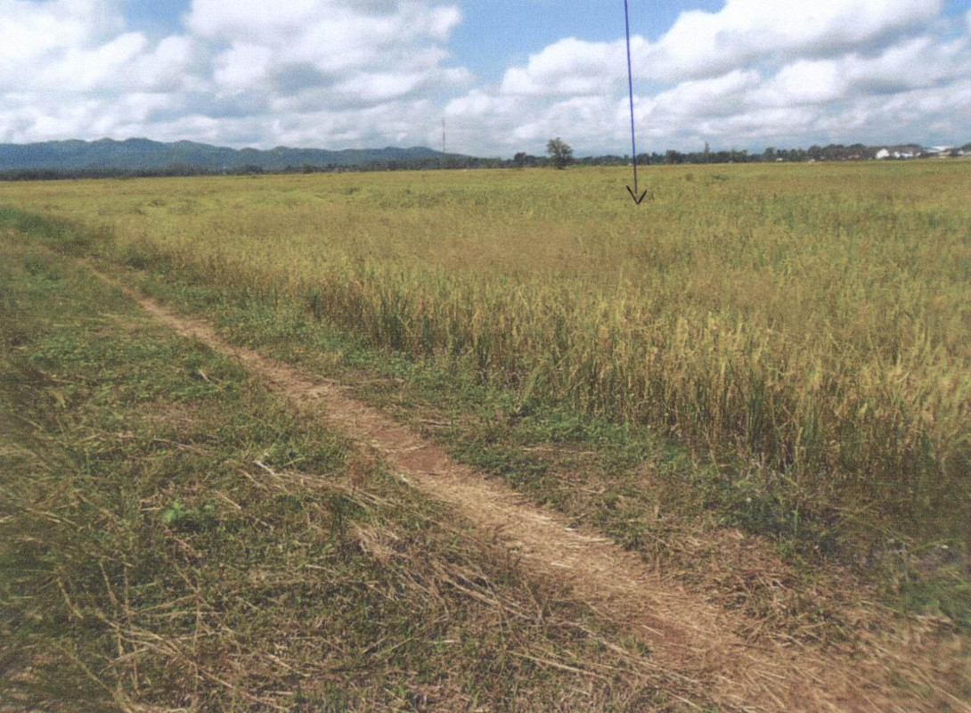 ที่ดินเปล่า ลำปาง แม่ทะ นาครัว 133125