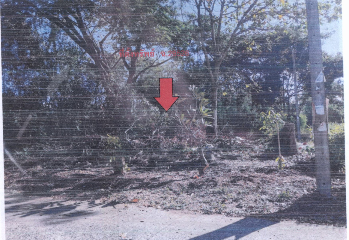 ที่ดินเปล่า เพชรบูรณ์ เมืองเพชรบูรณ์ นางั่ว 1035990