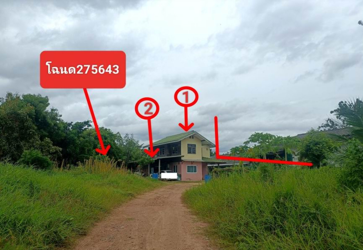 บ้านเดี่ยว นครราชสีมา เมืองนครราชสีมา จอหอ 485500