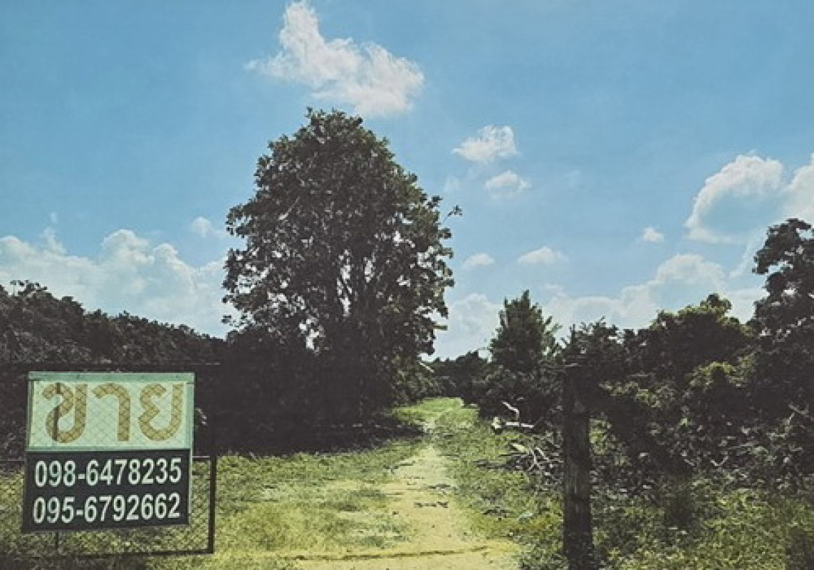 ที่ดินเปล่า ลำพูน ป่าซาง น้ำดิบ 601680