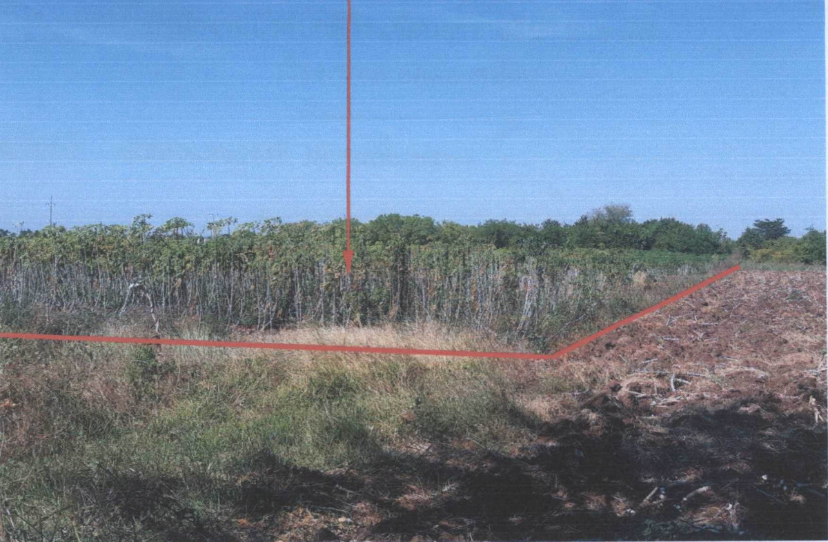 ที่ดินเปล่า นครราชสีมา ด่านขุนทด ด่านนอก 208300