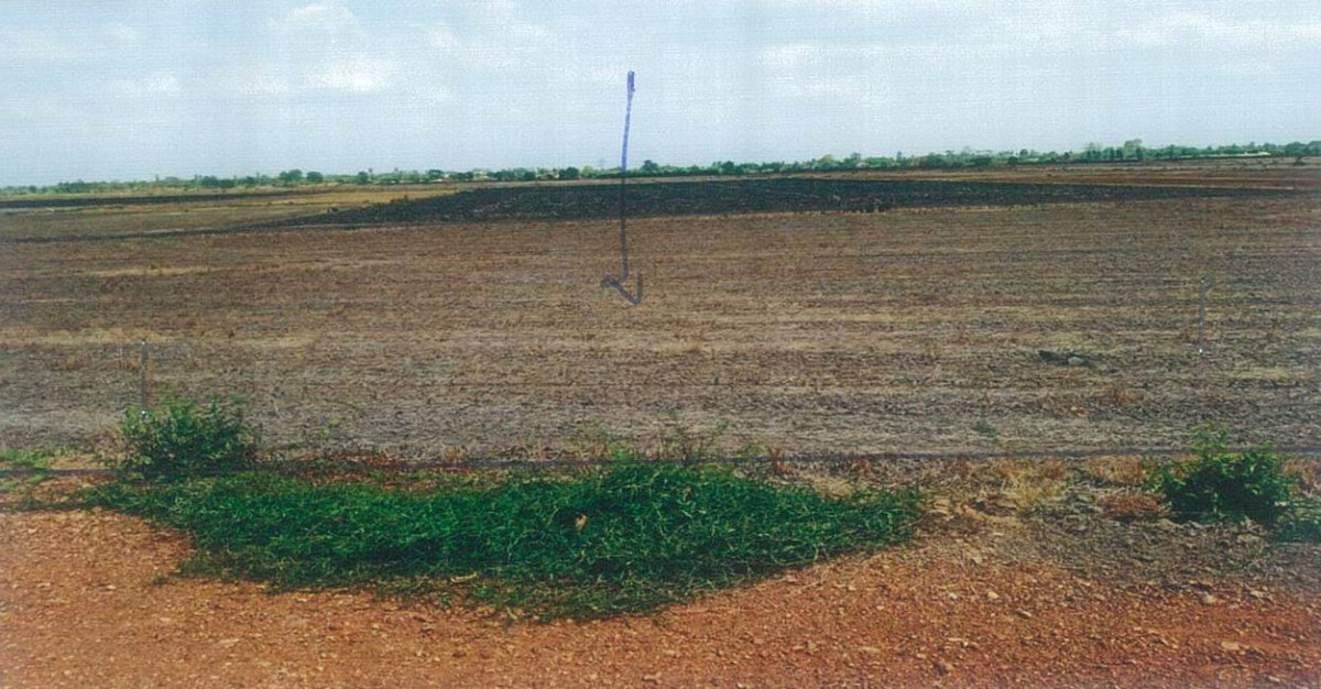 ที่ดินเปล่า ชัยนาท สรรคบุรี แพรกศรีราชา 543888