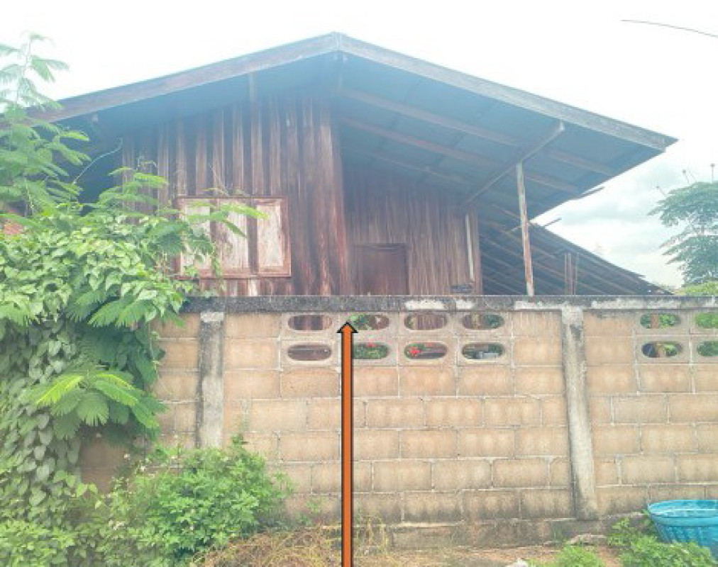 บ้านเดี่ยว เชียงราย เทิง ปล้อง 391650