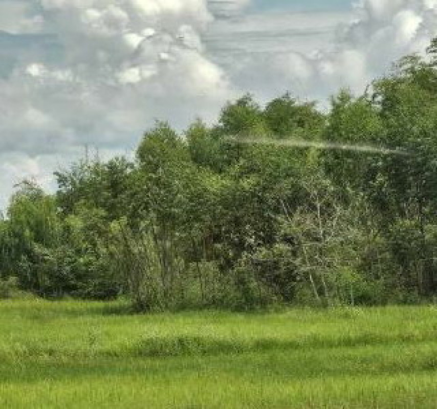 ที่ดินเปล่า สกลนคร วานรนิวาส หนองแวงใต้ 310500