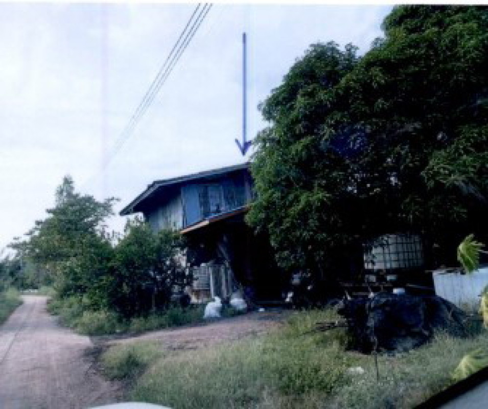 บ้านเดี่ยว เพชรบูรณ์ ชนแดน บ้านกล้วย 200400