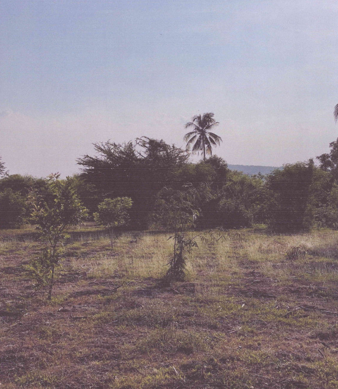 ที่ดินเปล่า ลพบุรี โคกสำโรง วังเพลิง 22000