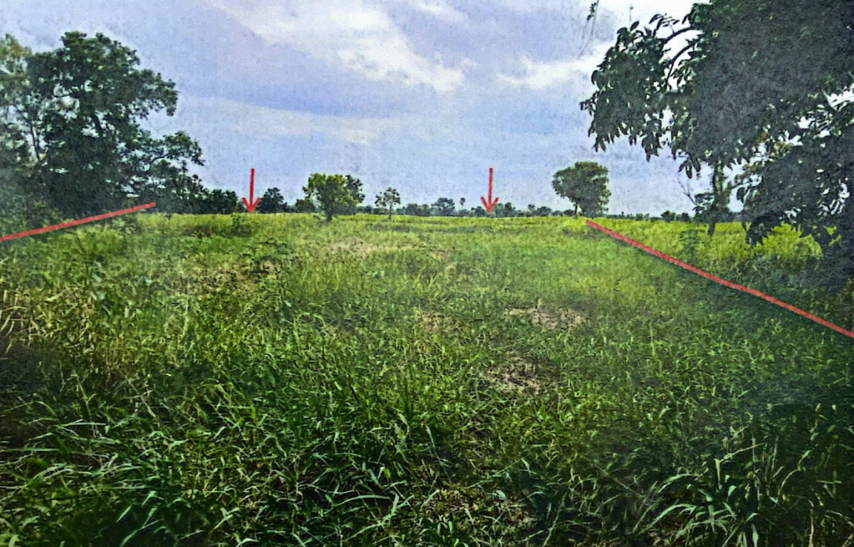 ที่ดินเปล่า นครราชสีมา โนนสูง หลุมข้าว 46560