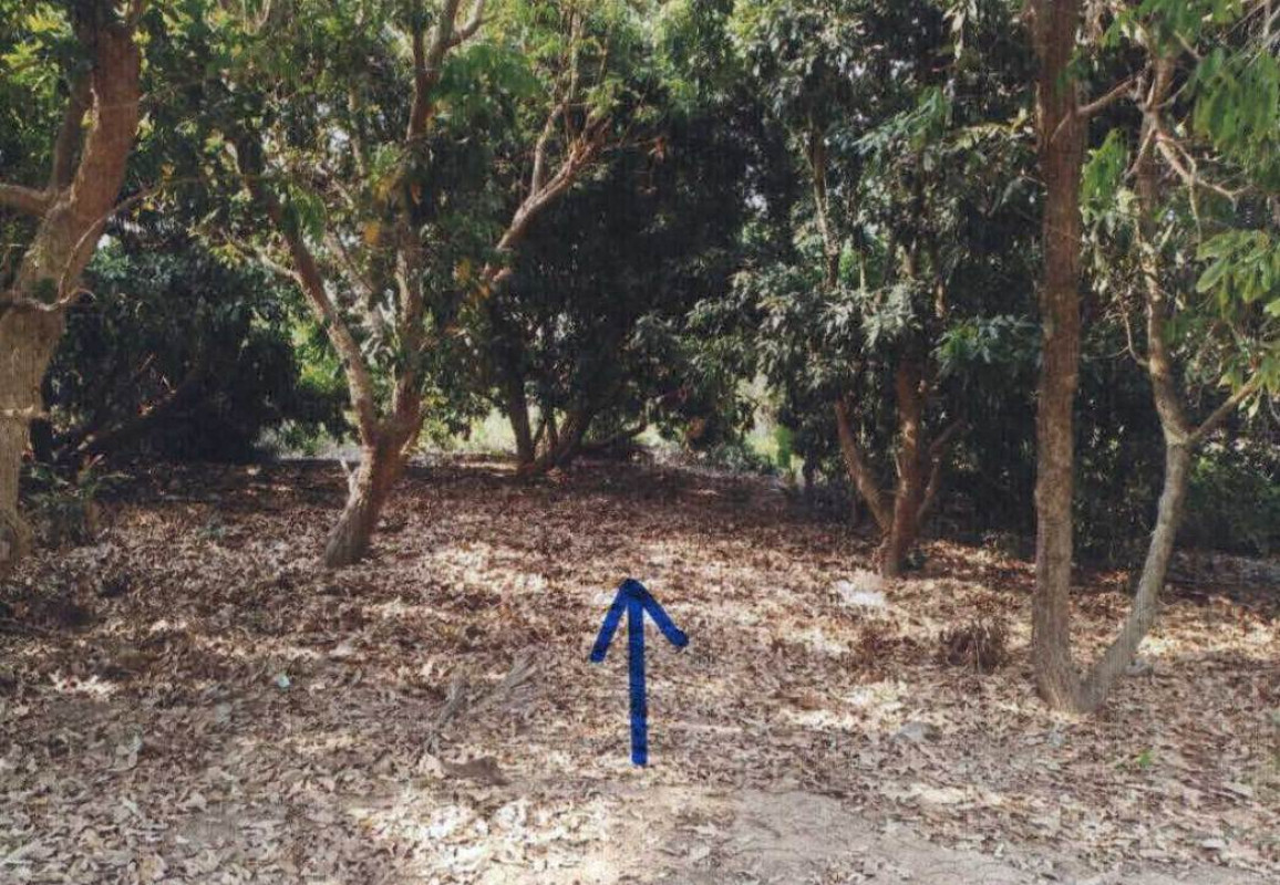 ที่ดินเปล่า นครราชสีมา ปักธงชัย ลำนางแก้ว 102000