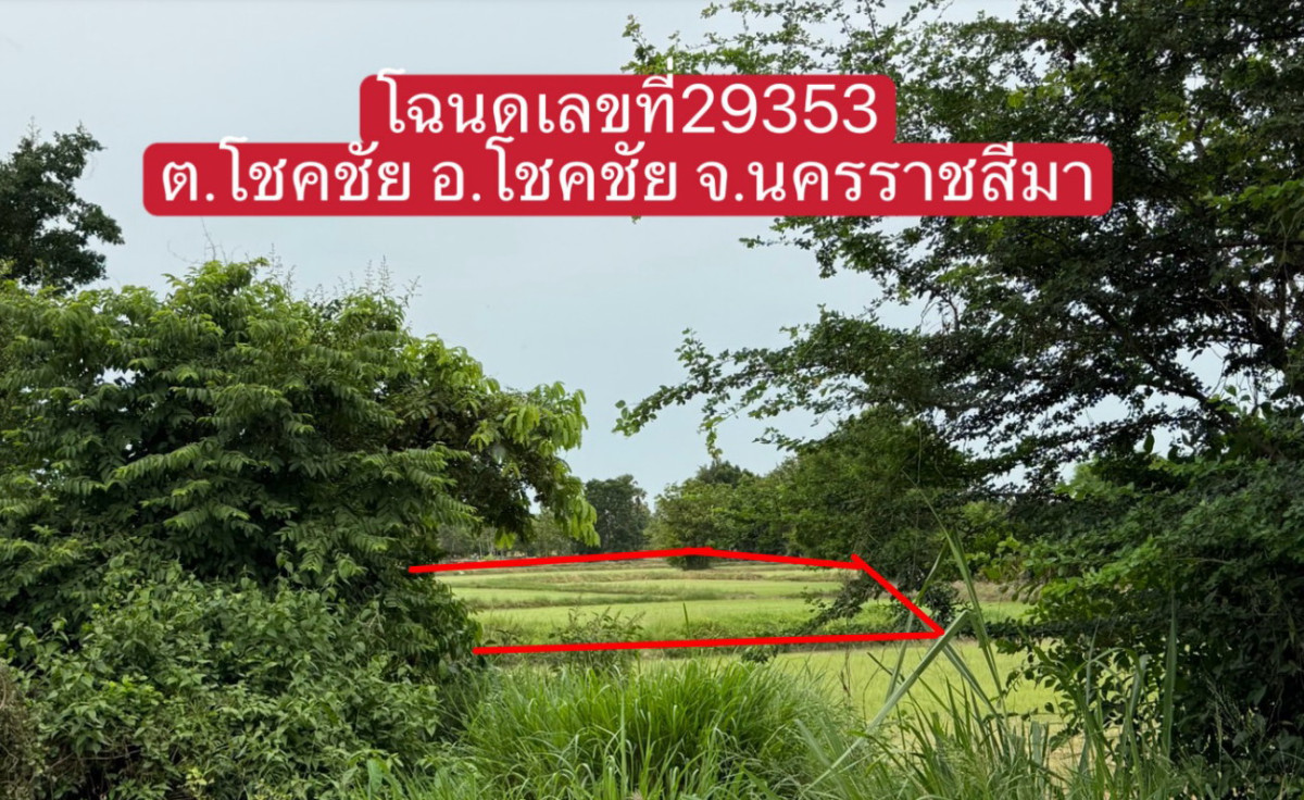 ที่ดินเปล่า นครราชสีมา โชคชัย โชคชัย 24000