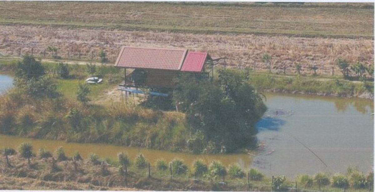 บ้านเดี่ยว นครราชสีมา ประทาย วังไม้แดง 703712