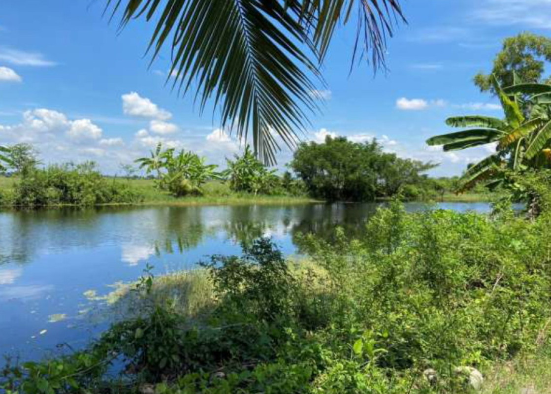 ที่ดินเปล่า กรุงเทพมหานคร หนองจอก คลองสิบ 170000