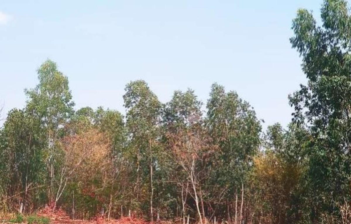 บ้านเดี่ยว อุดรธานี เพ็ญ โคกกลาง 133170