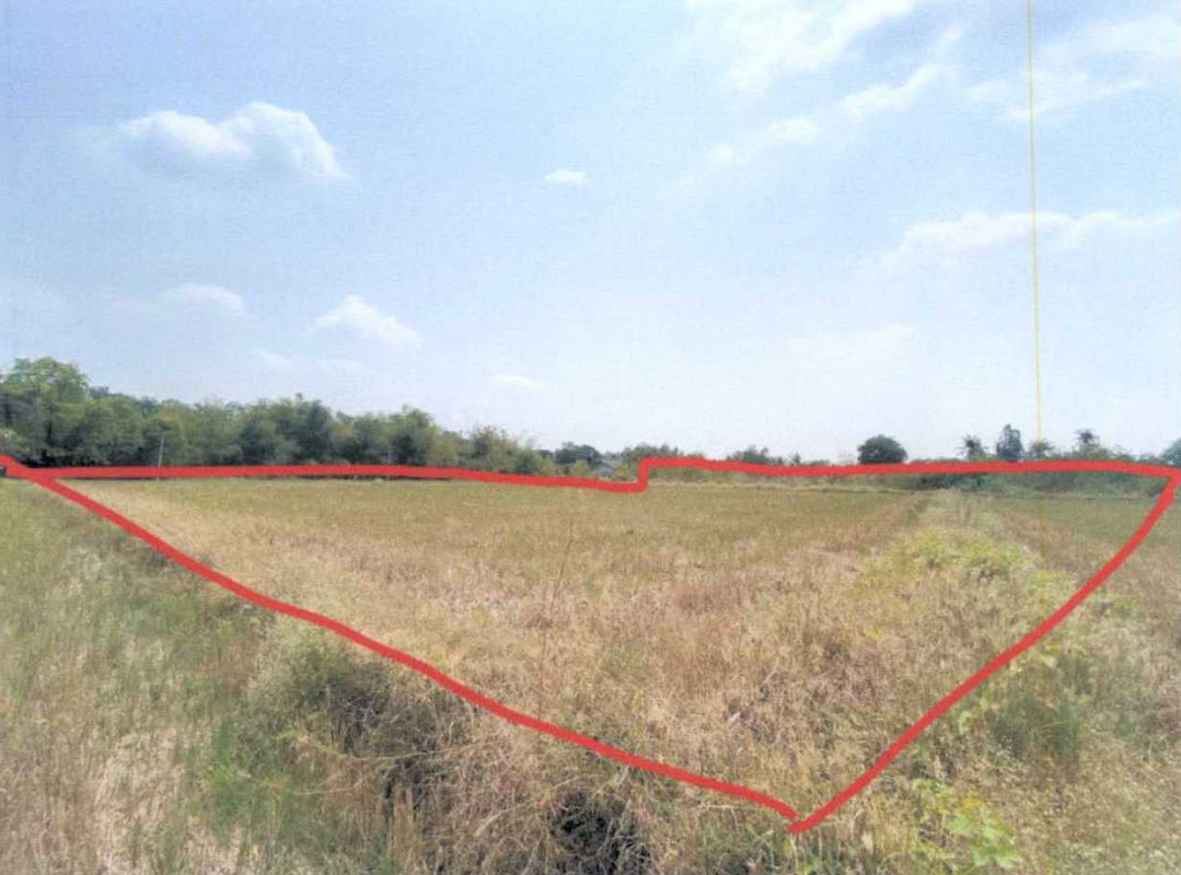 ที่ดินเปล่า สุพรรณบุรี สามชุก ย่านยาว 11079250