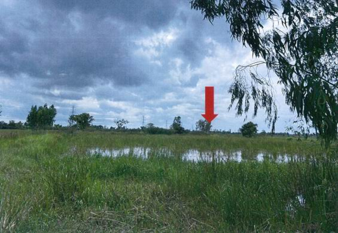 ที่ดินเปล่า ร้อยเอ็ด เชียงขวัญ พระธาตุ 249200