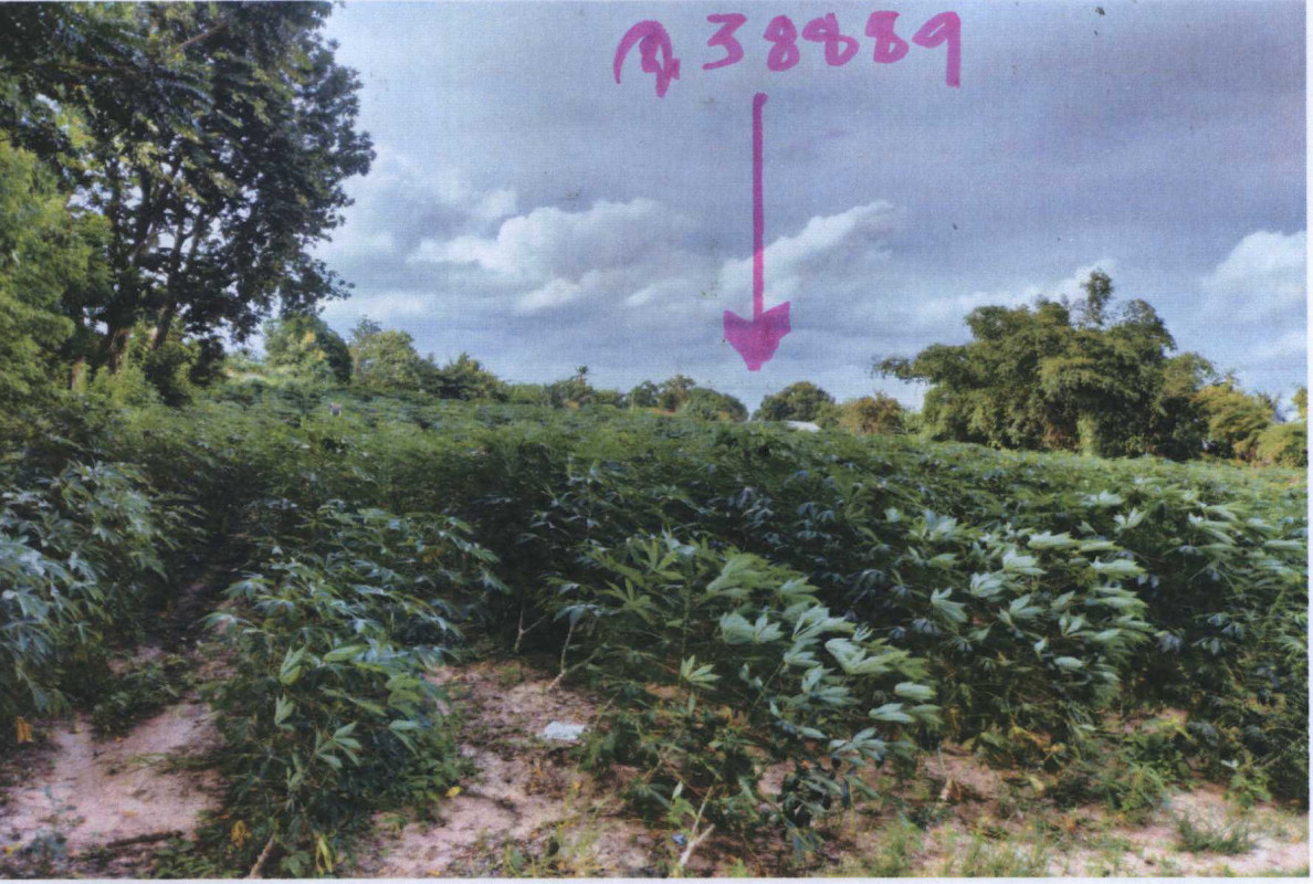 ที่ดินเปล่า นครราชสีมา โชคชัย ท่าอ่าง 282960