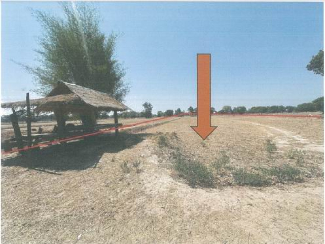 ที่ดินเปล่า ร้อยเอ็ด ปทุมรัตต์ บัวแดง 473100