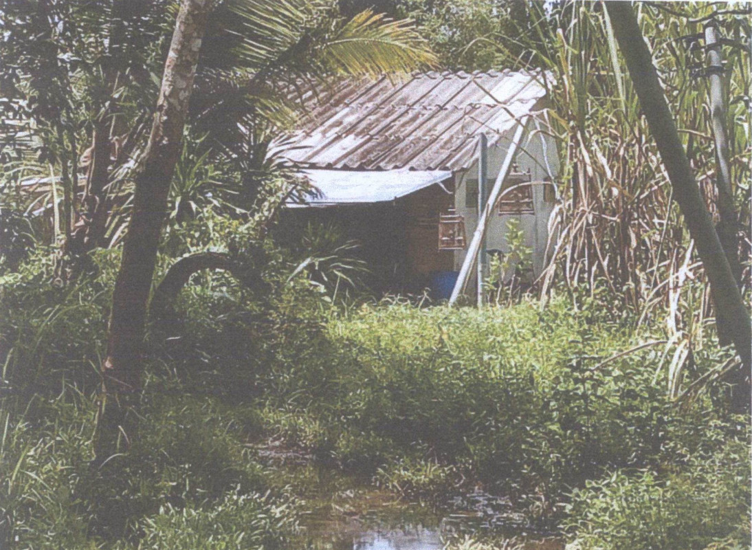 บ้านเดี่ยว สตูล ควนกาหลง ทุ่งนุ้ย 397260