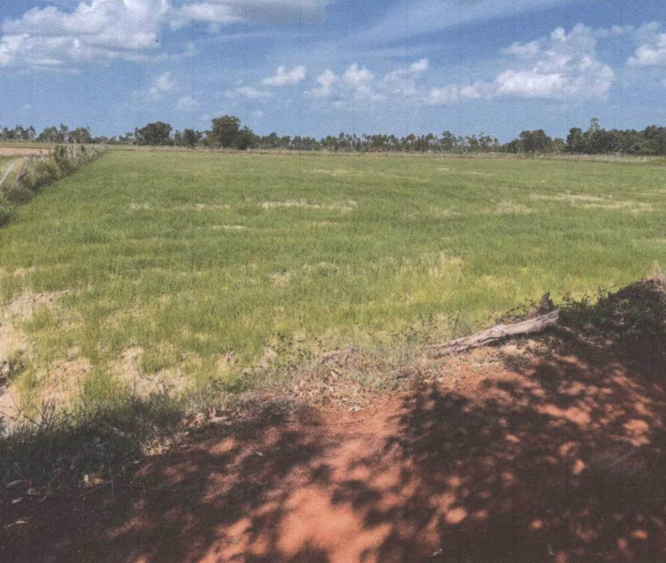 ที่ดินเปล่า ร้อยเอ็ด ปทุมรัตต์ สระบัว 595200