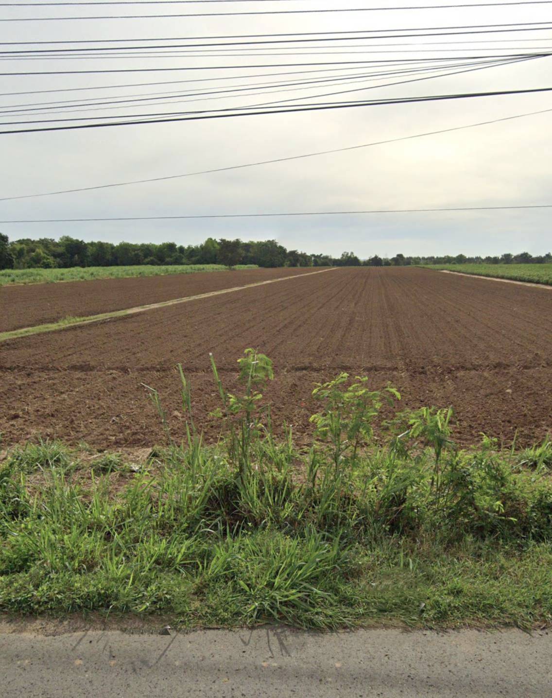 ที่ดินเปล่า นครราชสีมา โชคชัย ท่าเยี่ยม 44392000