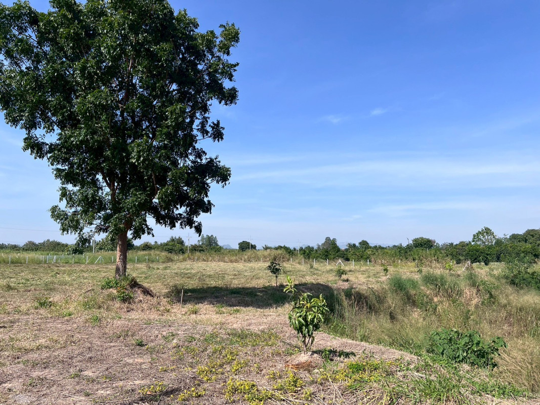 Residential land/lot Kanchanaburi Tha Muang Nong Tak Ya 990000