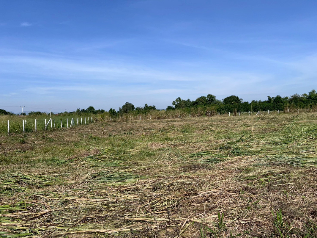 Residential land/lot Kanchanaburi Tha Muang Nong Tak Ya 990000