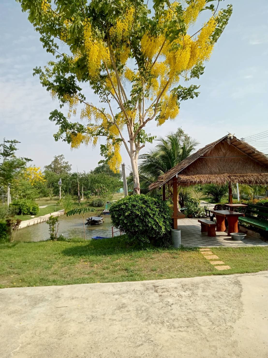 Residential land/lot Loburi Phatthana Nikhom Chong Sarika 4500000