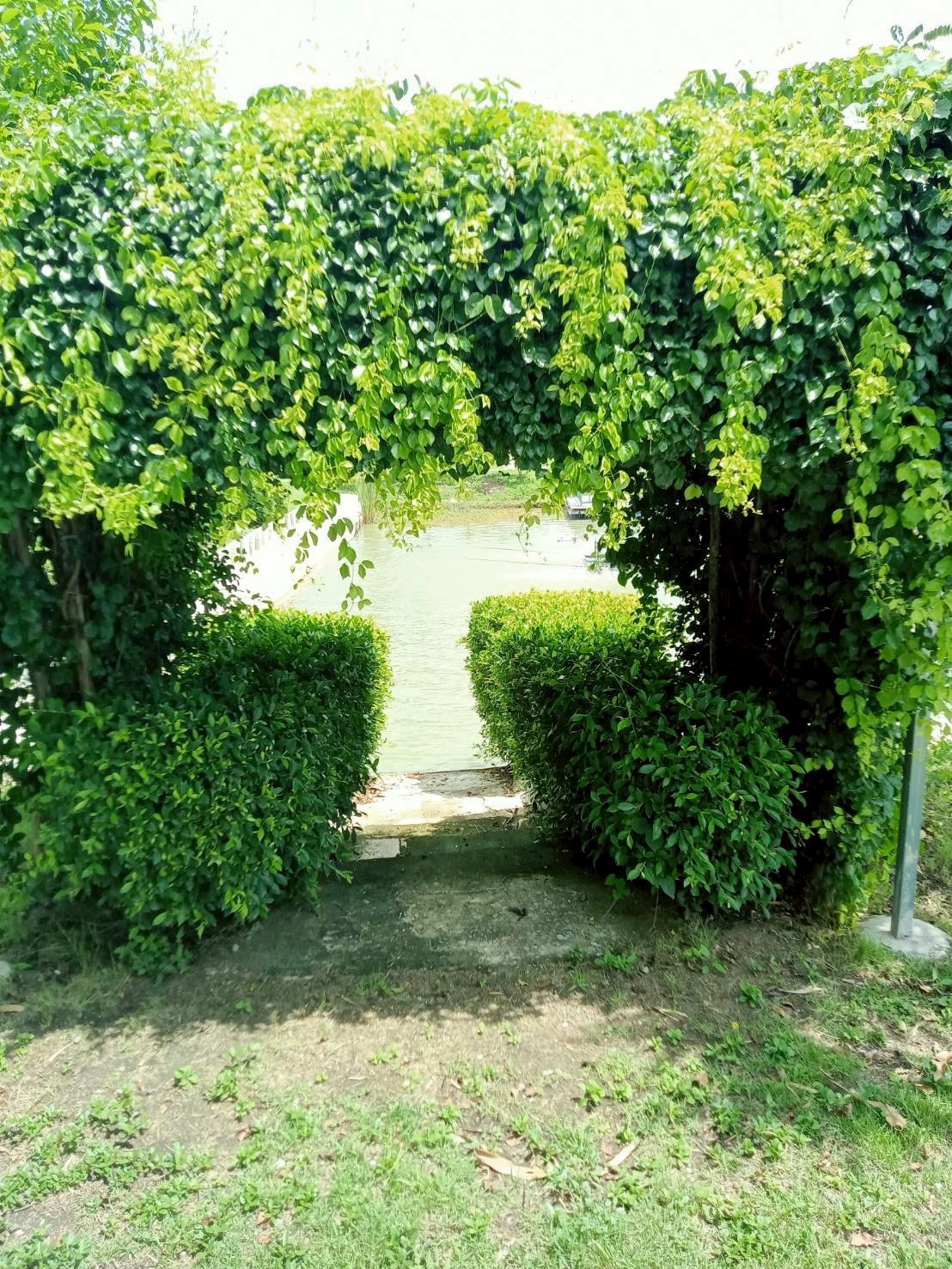 Residential land/lot Loburi Phatthana Nikhom Chong Sarika 4500000