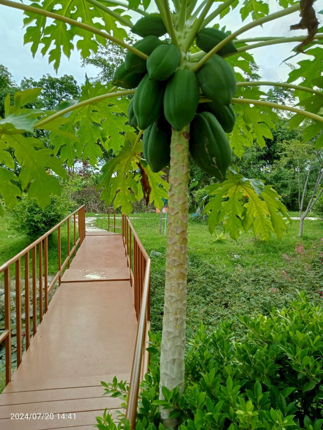 Residential land/lot Loburi Phatthana Nikhom Chong Sarika 4500000