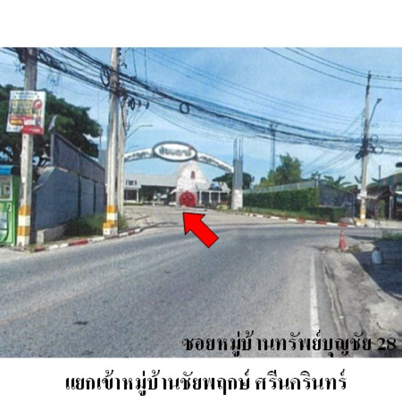 บ้านเดี่ยว ชัยพฤกษ์ ศรีนครินทร์ สมุทรปราการ เมืองสมุทรปราการ บางเมือง 6050000