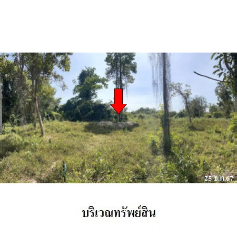 ที่ดินเปล่า ระยอง บ้านค่าย หนองบัว 14331000