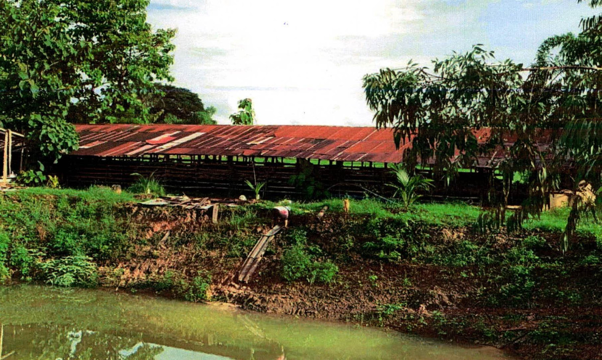 บ้านเดี่ยว ลำปาง แม่ทะ น้ำโจ้ 145700