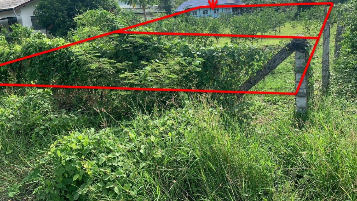 Residential land/lot Kanchanaburi Mueang Kanchanaburi Ko Samrong 149600