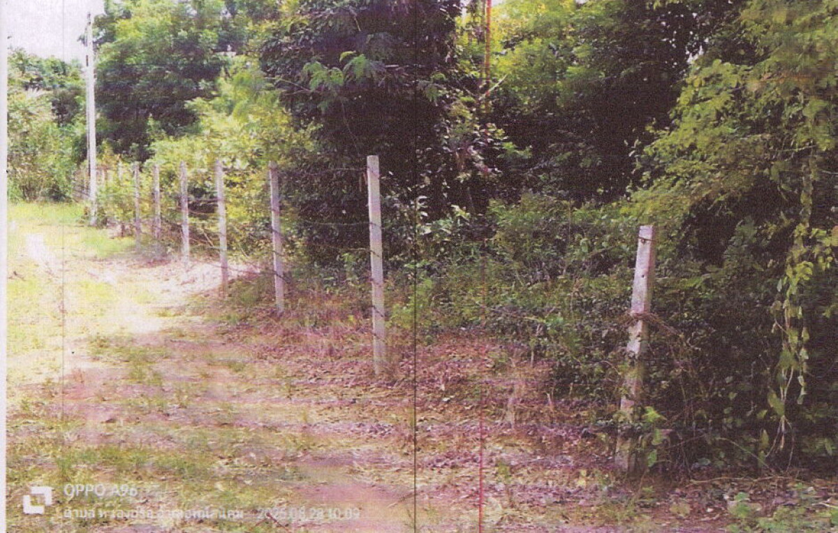 ที่ดินเปล่า ชลบุรี พนัสนิคม หนองปรือ 504700