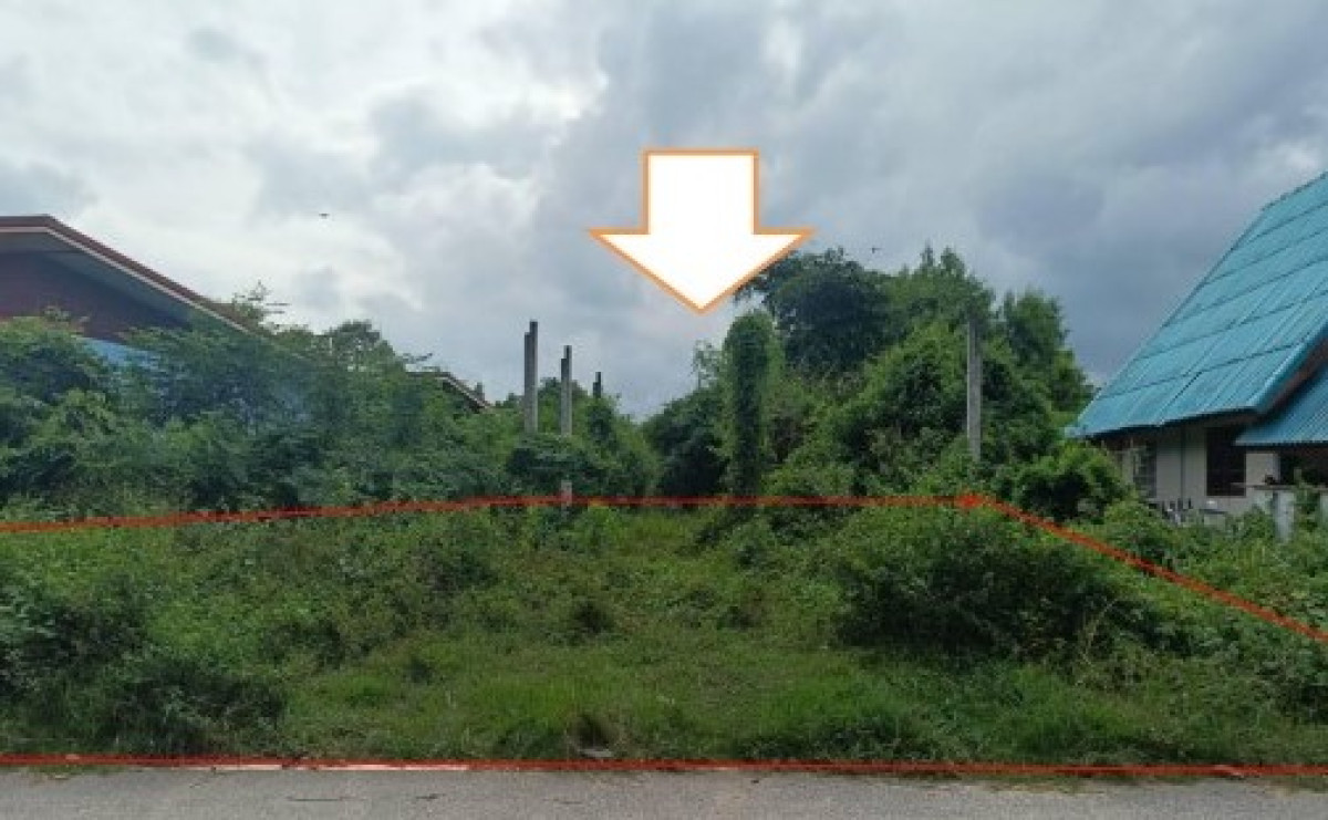 Residential land/lot Kalasin Kuchinarai Bua Khao 235800