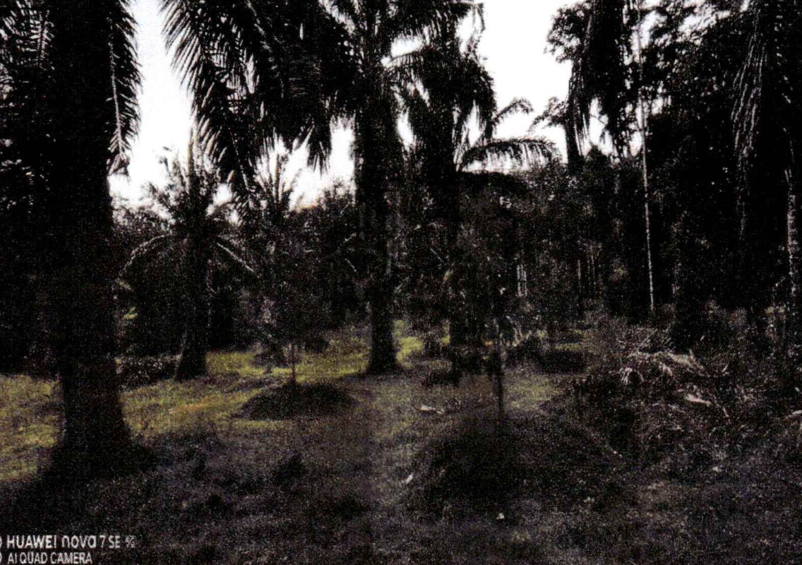 Single house Phangnga Khura Buri Khu Ra 1855499