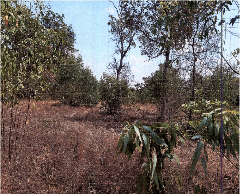 Residential land/lot Nakhon Ratchasima Mueang Yang Mueang Yang 77250