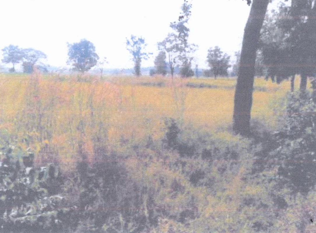 Residential land/lot Chaiyaphum Bamnet Narong Khok Phet Phatthana 229500