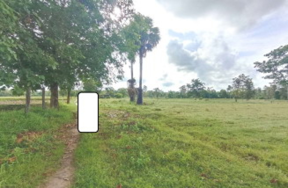 Residential land/lot Ubon Ratchathani Khong Chiam Nong Saeng Yai 780520